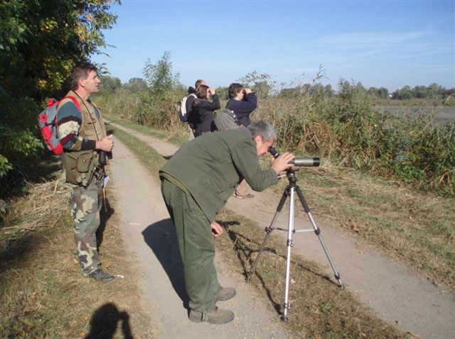 Europai_Madarmegfigyelo_Napok_26