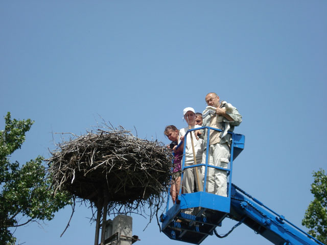 golya_road_show_2010_12