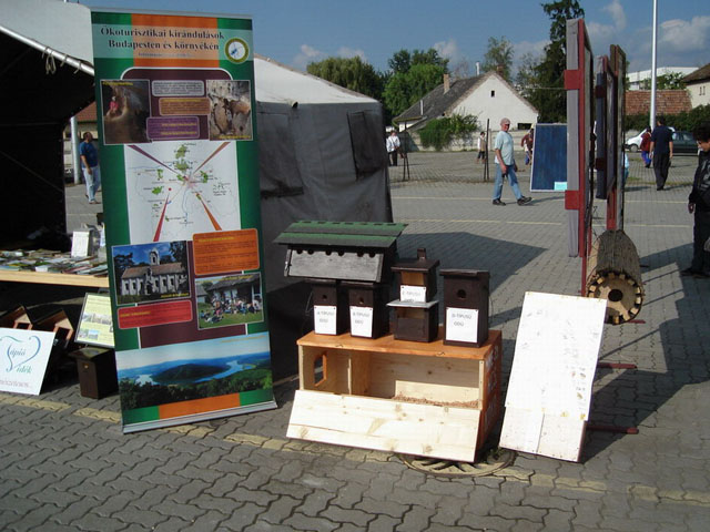 kata_expo_06