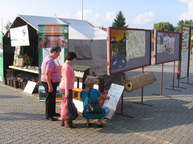 kata_expo_11