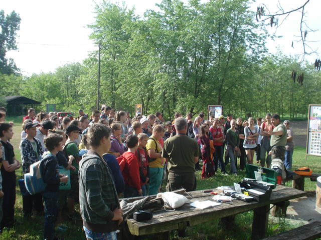 madarak_es_fak_napja_koka_08