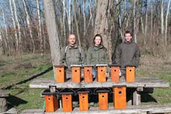Odukihelyezes_02